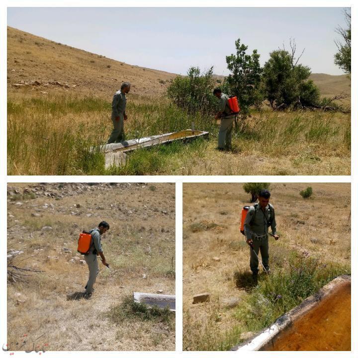 پاک سازی و ضدعفونی کردن آبشخورهای منطقه حفاظت شده باشگل شهرستان تاکستان