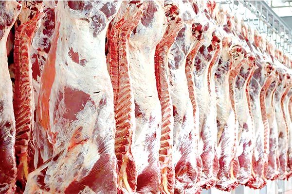 کشف ۱۶۰ کیلوگرم گوشت غیرمجاز در تاکستان