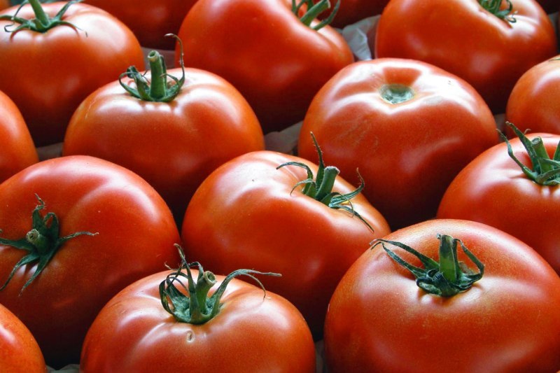 ۳۳۳۵ تن گوجه از کشاورزان استان قزوین خریدار شد