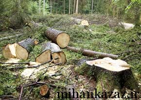 با طبیعت زیبای کزاز چه کردیم با طبیعت زیبای کزاز چه کردیم