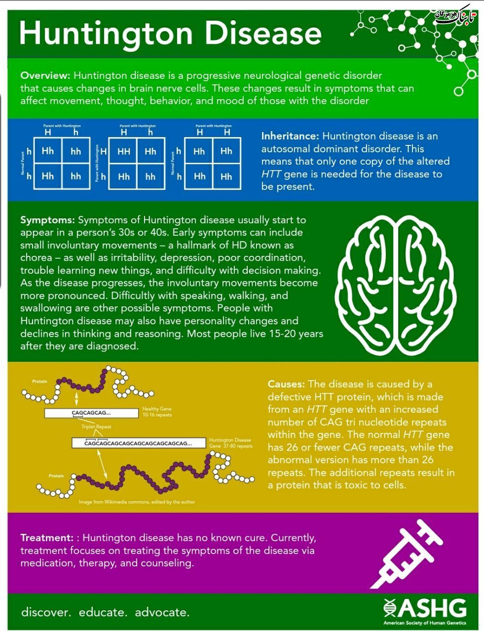 ژن مرتبط با بیماری هانتینگتون بر روی کروموزوم ۴ قرار دارد