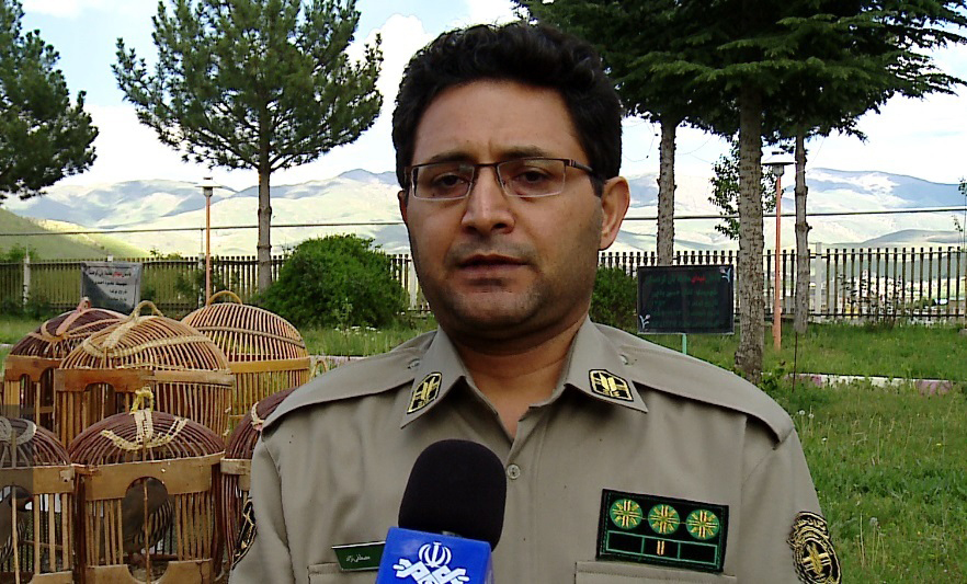 کشف و ضبط هفت قطعه کبک کشف و ضبط هفت قطعه کبک