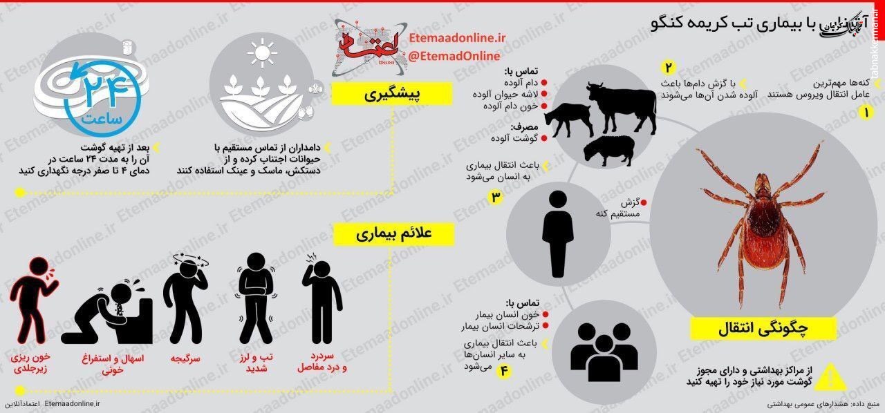 مازندران تب کریمه کنگو رو مثبت اعلام کرد