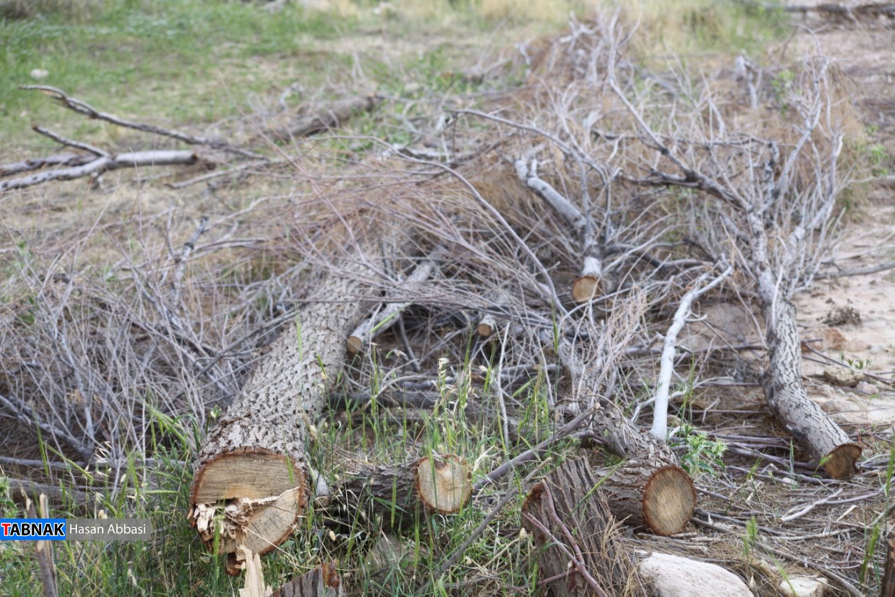 دره رهنو دره رهنو