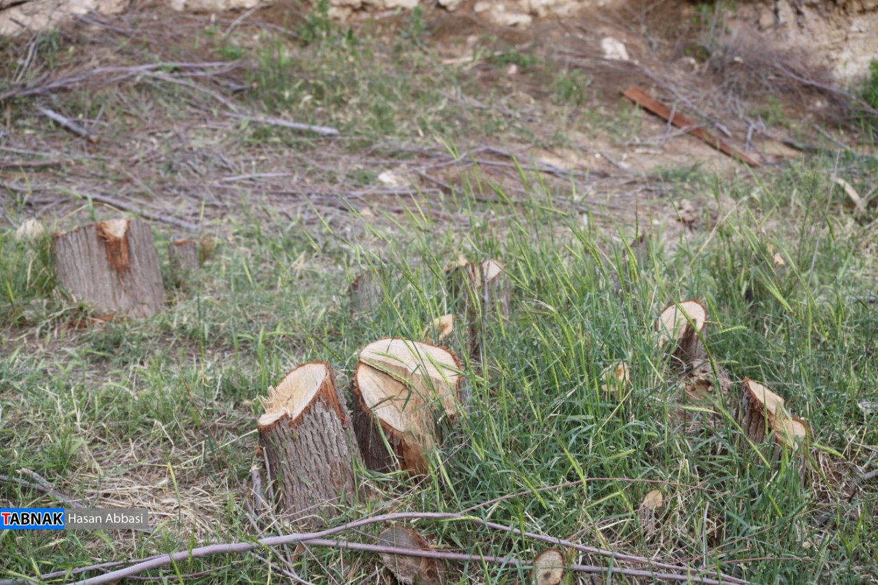 دره رهنو دره رهنو