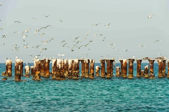 جاذبه های جزیره کیش جاذبه های جزیره کیش