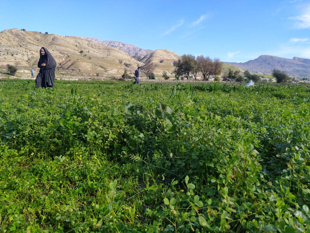 گزارش جامع نماینده بنیاد علوی از طرح محرومیت زدایی لنده+تصاویر گزارش جامع نماینده بنیاد علوی از طرح محرومیت زدایی لنده+تصاویر