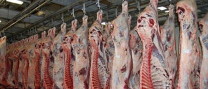 قربانی 2819 راس دام سبک و سنگین برای خانوارهای کم برخوردار کرمانشاهی