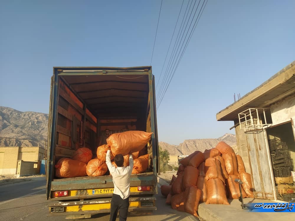 گیاهان دارویی نسخه ی اشتغالزایی بنیاد علوی در لنده+فیلم و تصویر گیاهان دارویی نسخه ی اشتغالزایی بنیاد علوی در لنده+فیلم و تصویر