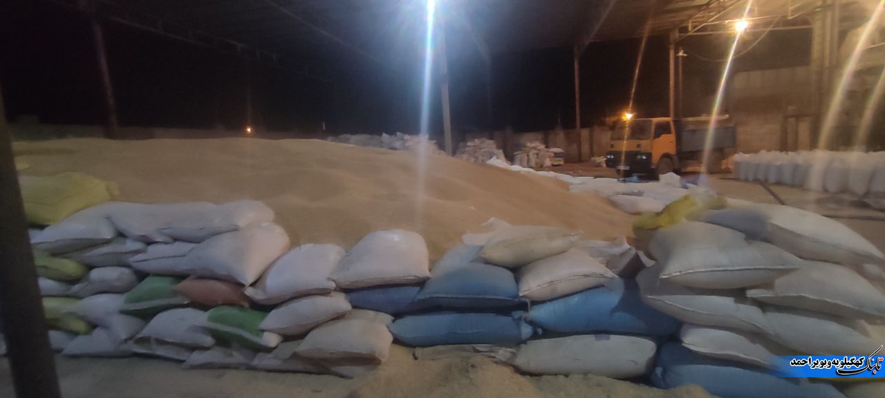 خسارت بارش&zwnj;ها به یک سیلوی گندم در چرام / نیکروز: خود مراقبتی حلقه مفقوده در بحران&zwnj;ها + تصاویر