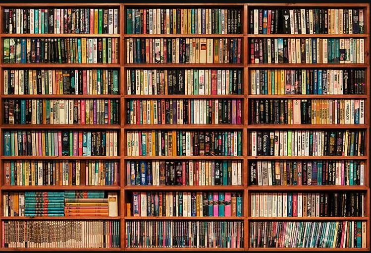 رشد ۴۸ درصدی اعتبارات کتابخانه‌های گلستان گامی در راستای توسعه کتابخوانی