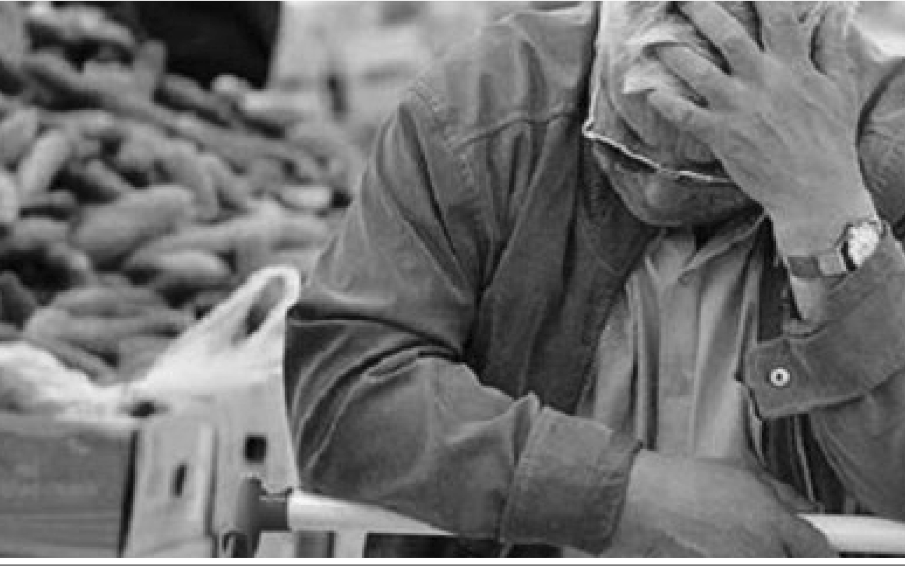 آشفته بازار گرانی در جزیره کیش/نان سفره هایی که با بی تدبیری مسئولان کم رنگ شد