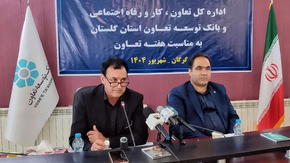 تخصیص خط اعتباری ویژه برای مشاغل خانگی / گلستان جزو ۵ استان برتر کشور در صادرات تعاونیها