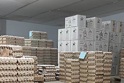 کشف ۸۰۰ تن تخم‌مرغ احتکارشده در استان گلستان و پلمب سردخانه متخلف