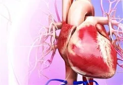 شیوع 7درصدی سکته قلبی بین بزرگسالان اصفهانی